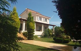 Beautiful Summer Villa In Chalkoutsi